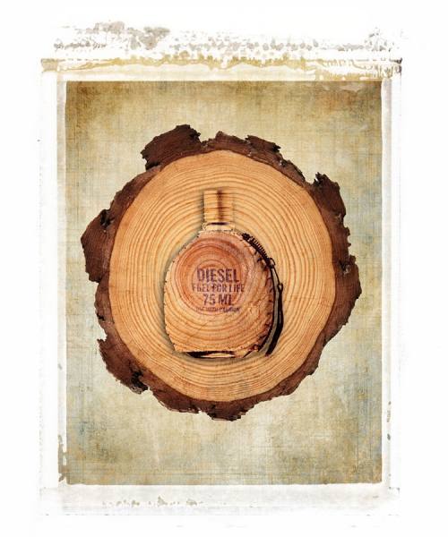 Photograph Steven Moeder Diesel on One Eyeland